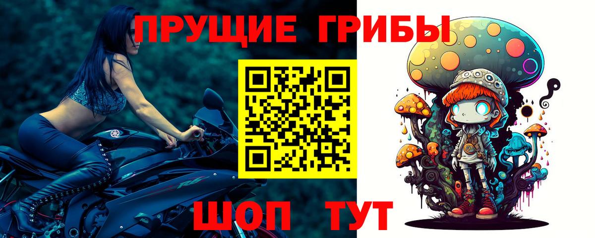 Североморск  Псилоцибиновые грибы Magic Shrooms  Вход с VPN 